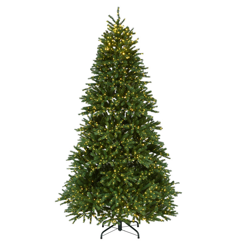 Sapin Fraser 7,5 pi avec lumières DEL bicolores Infinity