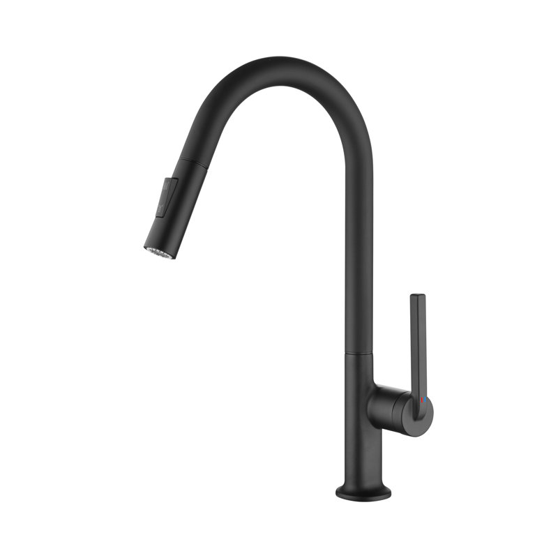 Robinet de cuisine monocommande à grande arche avec débit de jet à deux fonctions, Noir mat