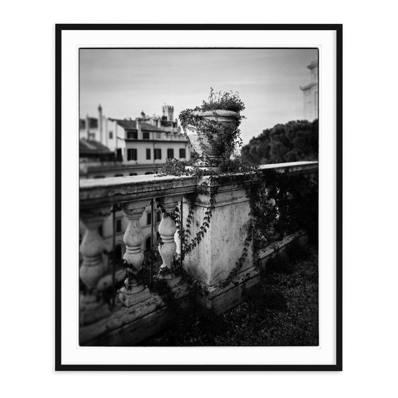 Italian Ivy - Picture Frame Photograph, 35.5" H x 29.5" W, Natural Framed