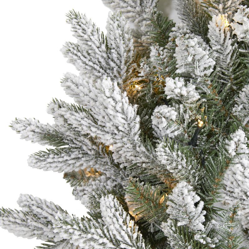 24'' Faux Pine Lighted Wreath