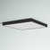 Warrenton LED Flush Mount