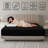 Lux Decor Soft Microfiber Bottom Sheets Upto 16 Inches Deep Pocket Fitted Sheet-408703365-519074482