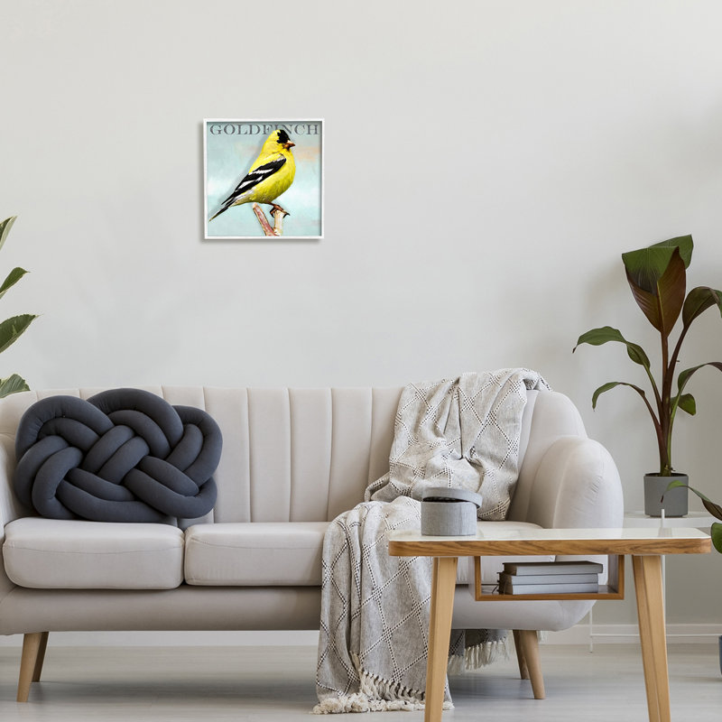 Portrait d'un oiseau chardonneret jaune, texte rustique par Alpenglow, L 12 po x H 12 po, Giclée encadrée blanc bord de mer