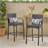 Cascada KD Barstool Chair-1629789515