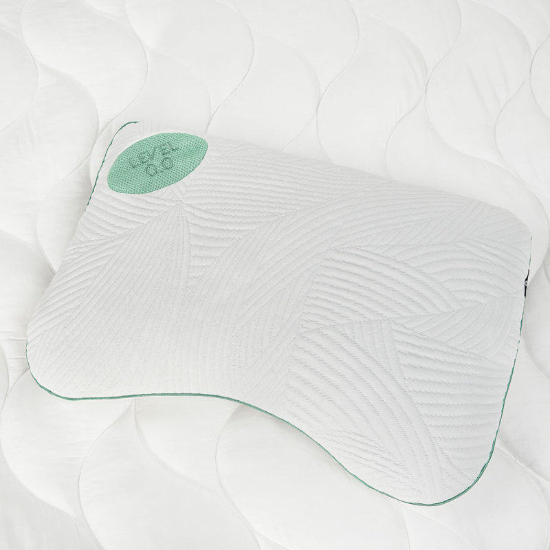 Coussin de lit Bedgear