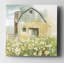 Daisy Barn - reproduction d'art-29161489-32972934