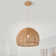 Suwannee Dimmable 1 - Light Unique/Statement Pendant