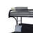 Paulita Kids Twin Bunk Bed-1450858714