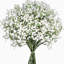 Fleurs artificielles Babys Breath, 12 pièces Gypsophila Real Touch pour décoration de fête de mariage