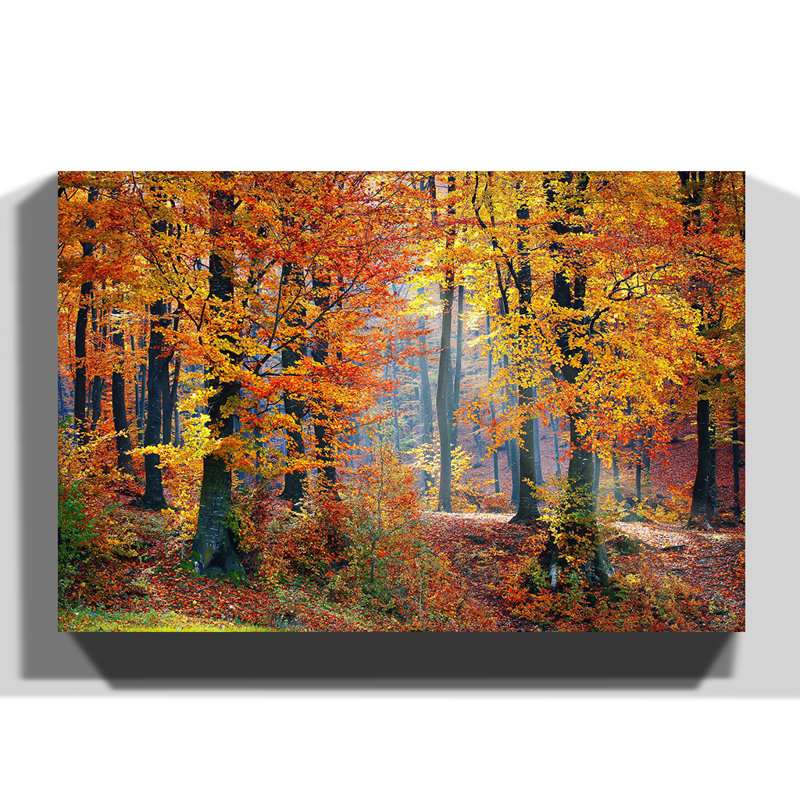 Wrapped Canvas Print, 35cm H x 50cm W