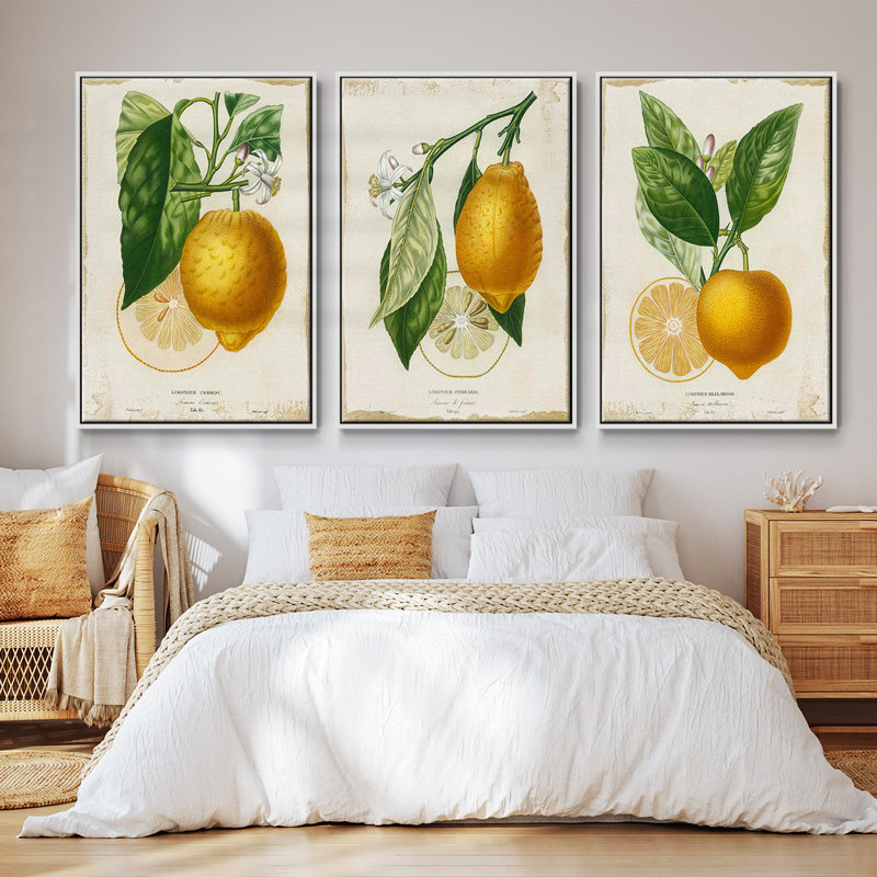 Citron français I 3 pièces, H 27 po x l 54 po, Cadre blanc