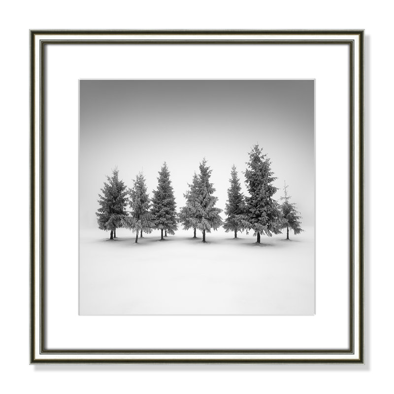 Impression d'épinette par Daniel, L 18,25 po x H 18,25 po, Imprimé mat, Argent classique