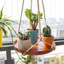 Porte-plantes Clady
