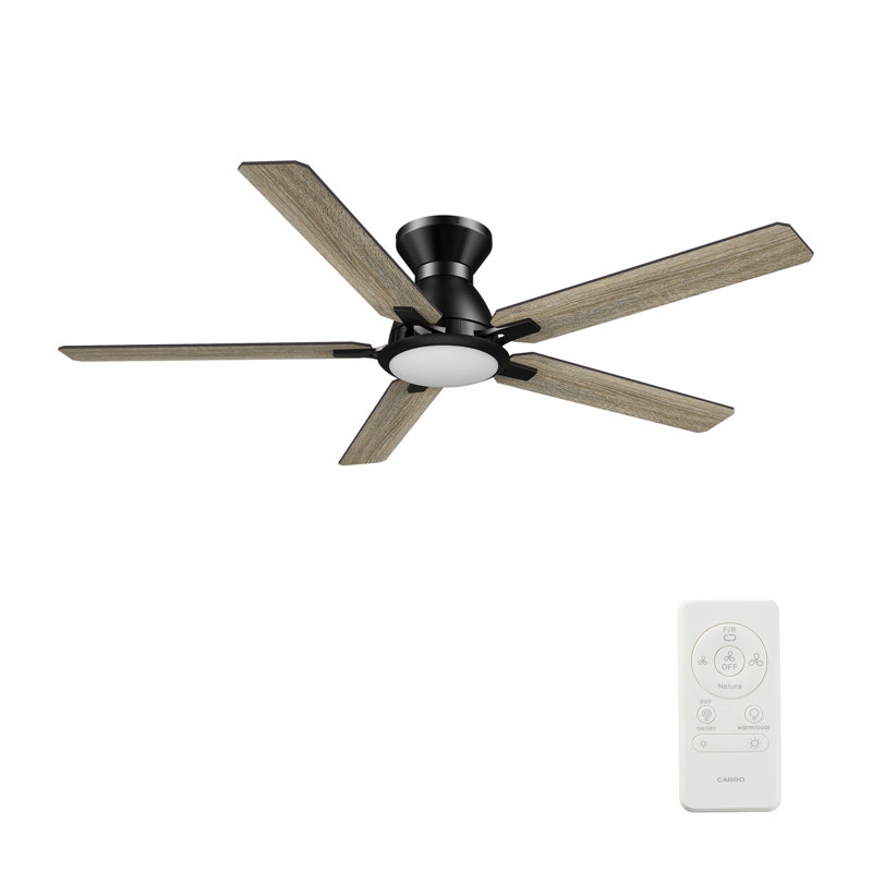 Ventilateur de plafond 52 po avec télécommande Bristol, ensemble d'éclairage inclus., Noir, Gris, 215 tr / min
