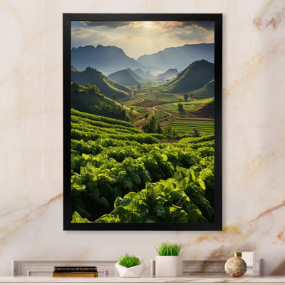 Impression sur toile «Cuba & tabac champs de Cuba III»