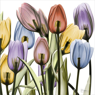 Décoration murale Tulipscape