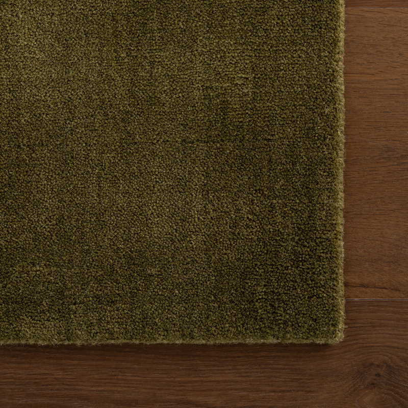 Gania Modern Green Rug, Rectangle 4' x 6'