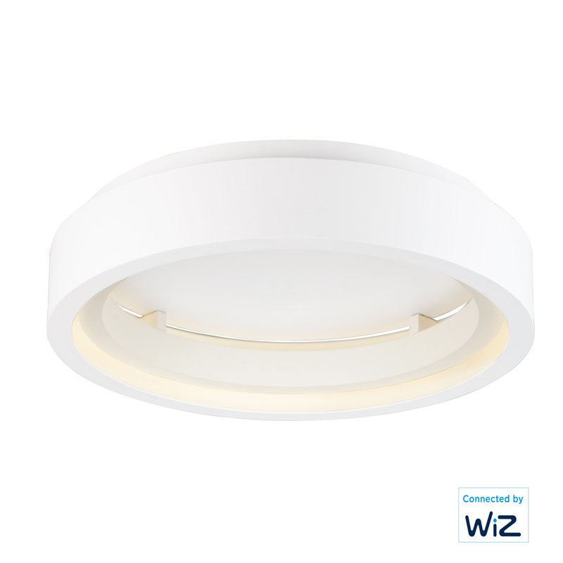 ICorona LED Flush Mount, Matte White