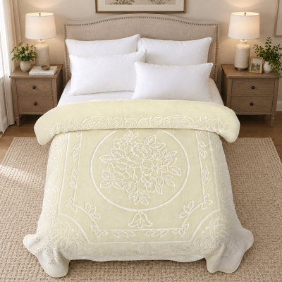 Heavy Thick Mink Blanket 9Lb for Winter,1 Ply Warm Plush Bed Blanket King,85"x95",Beige