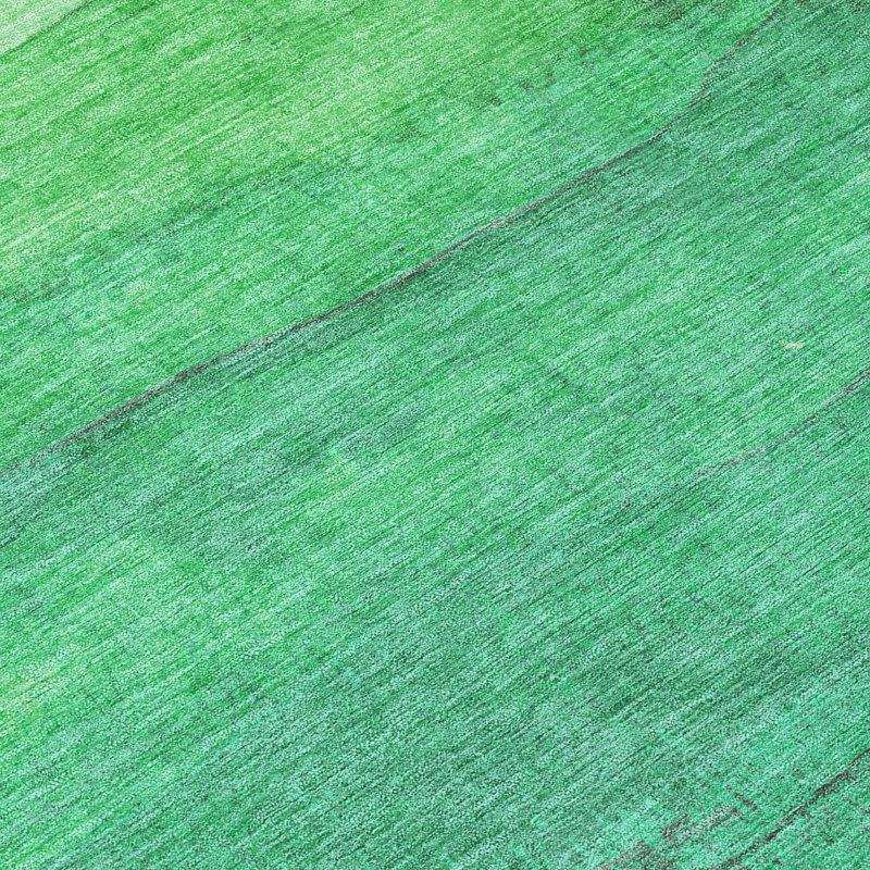 Tapis intérieur / extérieur vert Elien, 2 pi 6 po x 3 pi 10 po