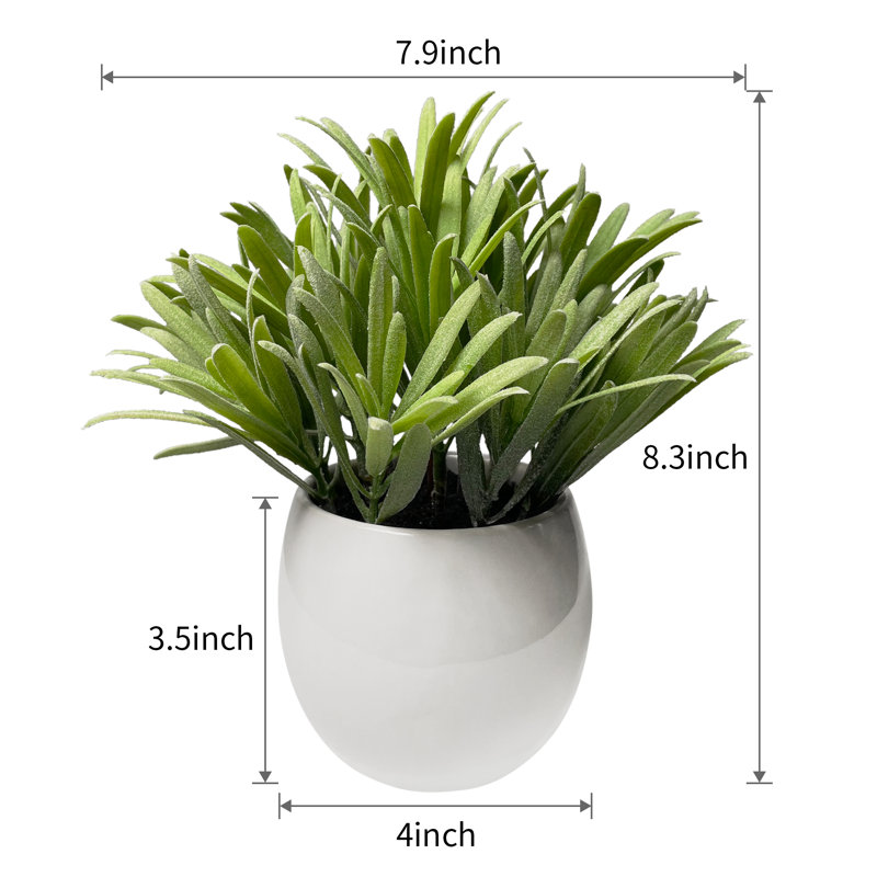 Digby Artificial Plant in White Pot Set