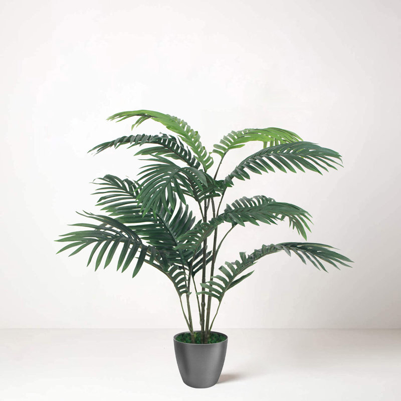 Faux Palm Plant in Planter, 90cm H x 75cm W x 20cm D, Black