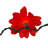 Kurt Adler 35-Light Red Poinsettia Light Set