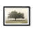 " Trees In The Fog II "-1809952694-1809952695-1809963998