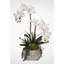 Real Touch Phalaenopsis Orchids with Succulents in a Concrete Pot