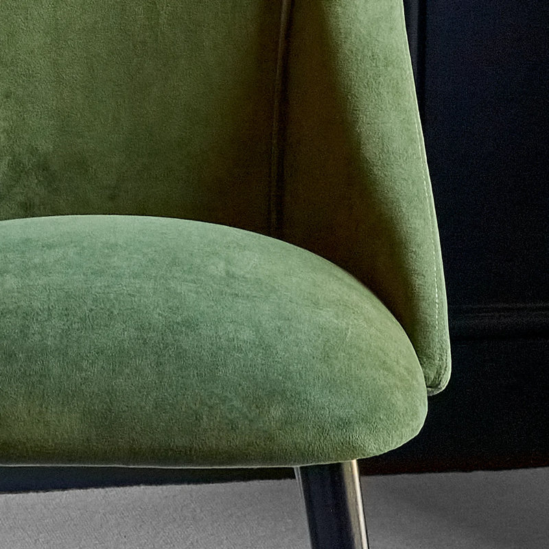 Aggarwal 48cm H Side Chair - Set of 2, Black, Green