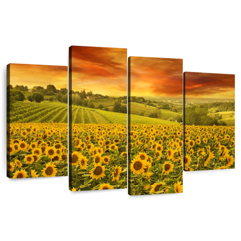Tournesols Alvord Italian Hill, H 54 po x l 84 po
