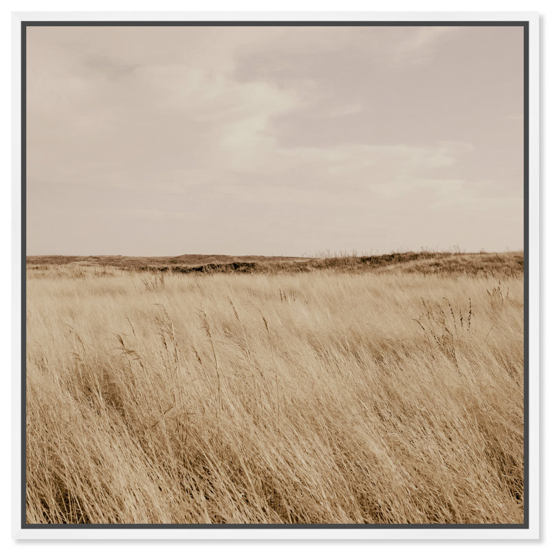Golden Nature Print by Oliver Gal, 31" H x 31" W, White Floater Frame