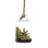 9'' Faux Succulent in Glass Jar