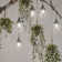 B11E12 40 Watt Equivalent B10 E12/Candelabra Dimmable 5000K LED Bulb