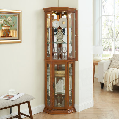 Corner Display With Adjustable Glass Shelf Shelving, Glass Door by Winston Porter