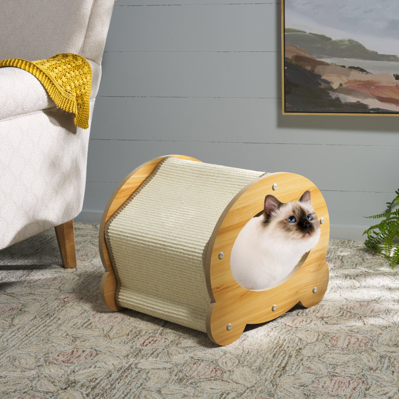 Chat à gratter