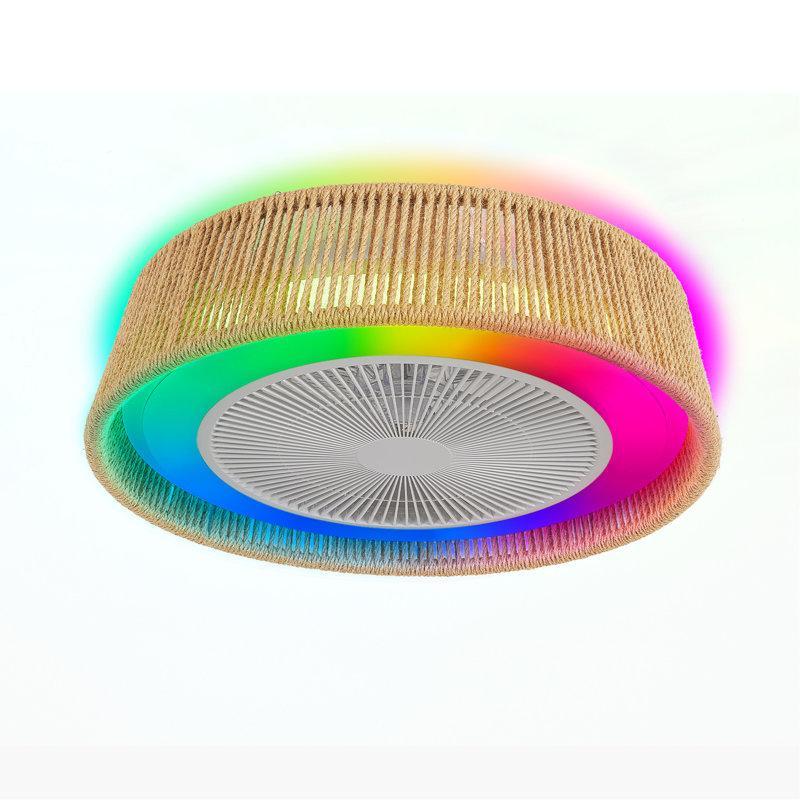 Ventilateur de plafond en corde tissée 21,3 po avec éclairage à DEL RVB Skyler
