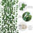 Ivy Fake Vines 24 Pack 173 FT Artificial Vine with 200 LED String Light Leaves Wall Decor Leaf