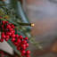 MAGNOLIA BERRY - 6ft Garland with 100 Warm White Lights