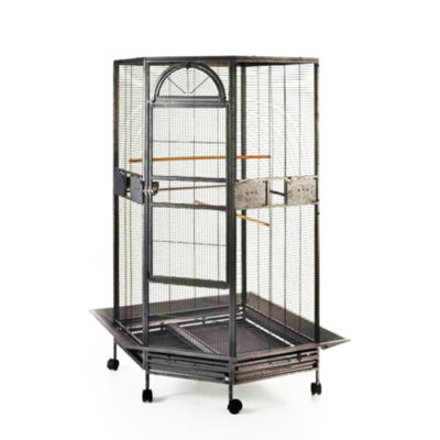Très grand 64 po en coin en forme de perroquet roulant en fer forgé sur une cage en métal massif avec portes coulissantes en métal