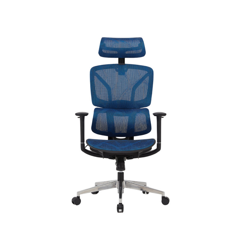 Demani Office Chair with Headrest