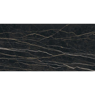 Penthouse 24" x 48 Thunder Night Porcelain Tile