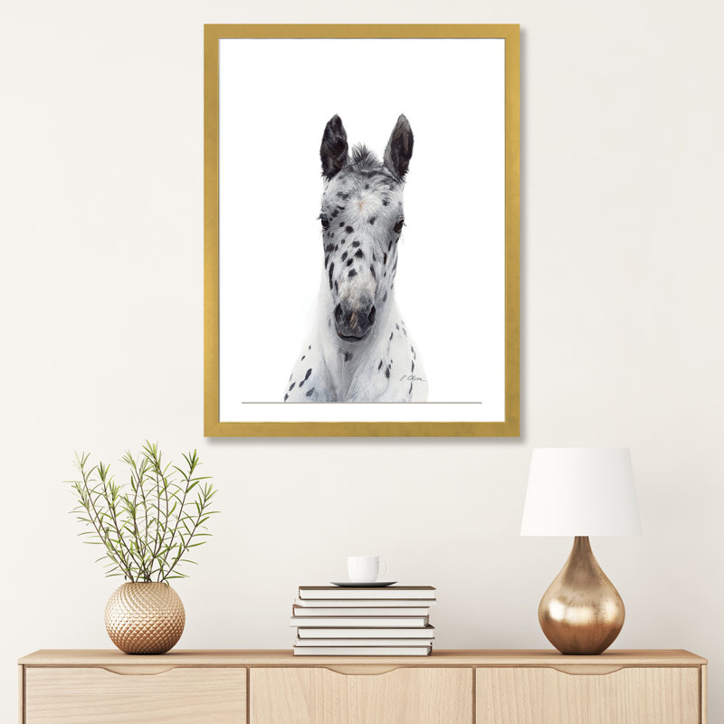Poulain Appaloosa - reproduction d'art, Blanc, H 32 po x l 24 po x P 1 po, Papier encadré doré