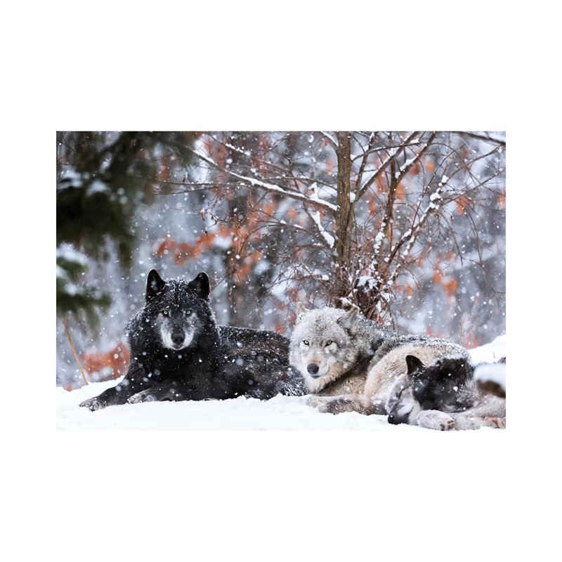 Family Portrait by Eiji Itoyama - Wrapped Canvas Gallery-Wrapped Canvas Giclée, 66.04 cm H x 45.72 cm W x 1.91 cm D