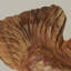 Figurine de poisson