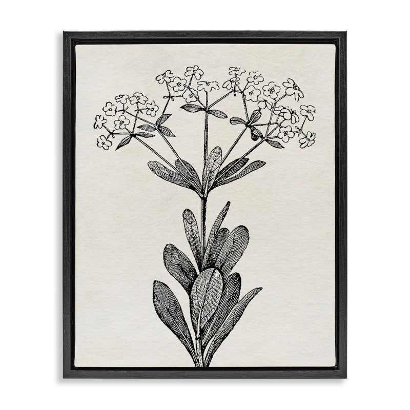 Cadre flottant Classic Cuts Botanicals, design par Karen Smith, Cadre flottant noir de jais, H 21 po x l 17 po