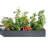 Severson Rectangular Open Bottom Metal Raised Garden Bed-1955182125