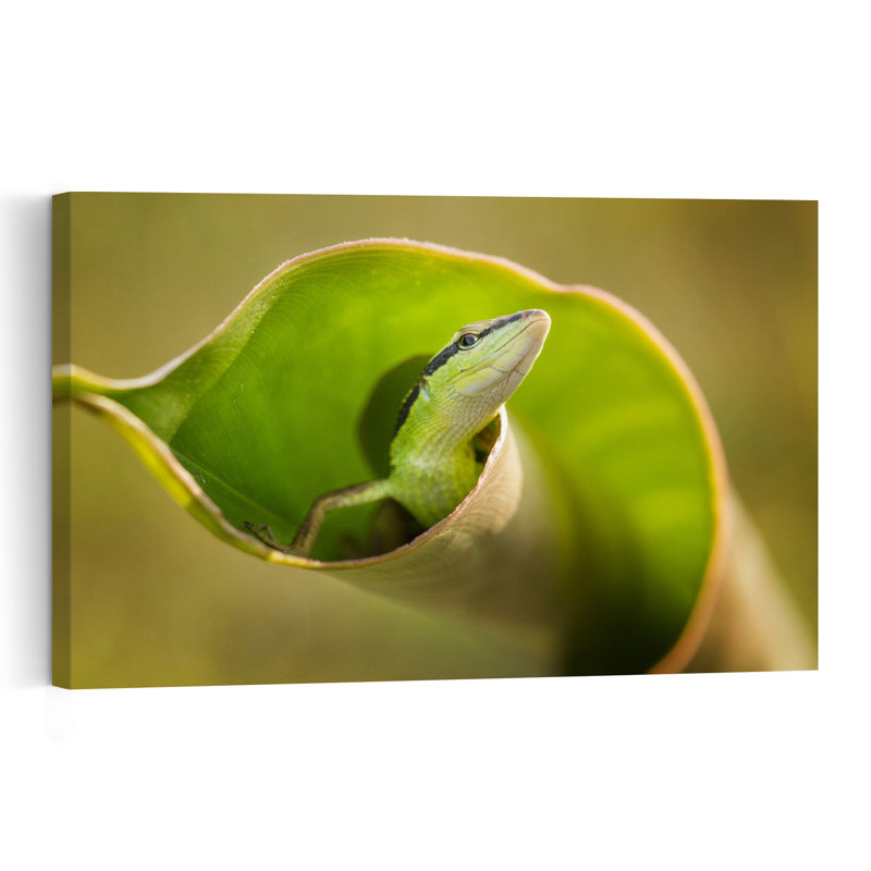 Curious Green Lizard Abstract Lizard Landscape Nature Wall Art Print by Hendy Mp - Print, 30.48cm H x 45.72cm W