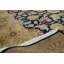Wool Oriental Area Rug