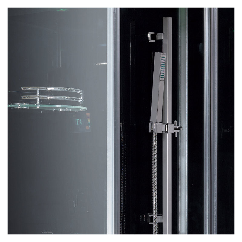 Platinum Steam Shower